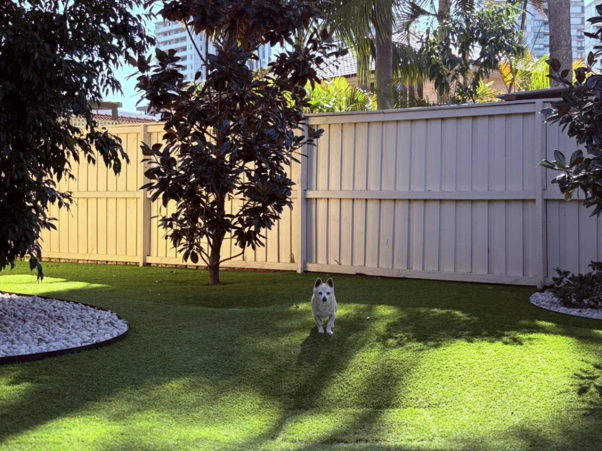 About Us 10 Top Quality Pet Turf 2
