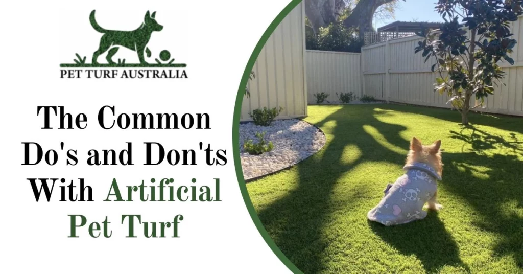 Top 5 Pet-Friendly Turf Options for High-Energy Dogs 7 The Common Do s and Don ts With Artificial Pet Turf